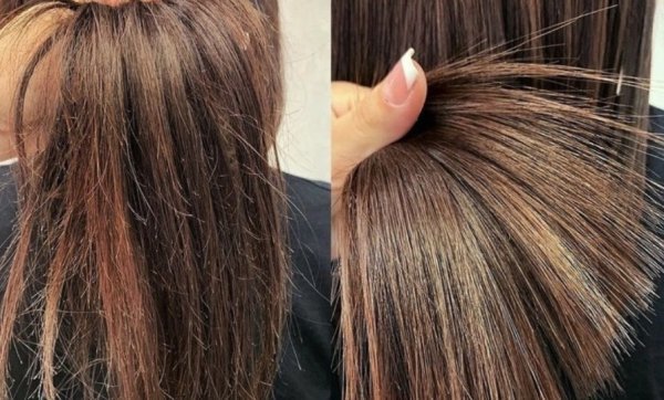 Hair Repair Tips: बार-बार दो मुंहे हो रहे हैं बाल? अपनाएं ये 3 आसान उपाय