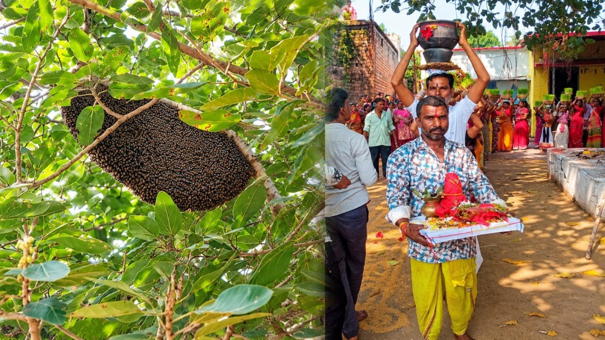 Beehive and Jwara Visarjan Procession (Image Source: Keertiman Media)