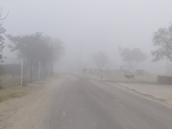 Chhattisgarh Weather Update: रात में बढ़ेगी ठंड, तापमान में 2 डिग्री तक गिरावट के आसार