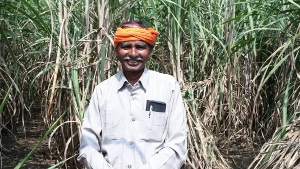 Farmer Benefits: गन्ने का समर्थन मूल्य बढ़ने से किसानों को राहत, CM साय का जताया आभार