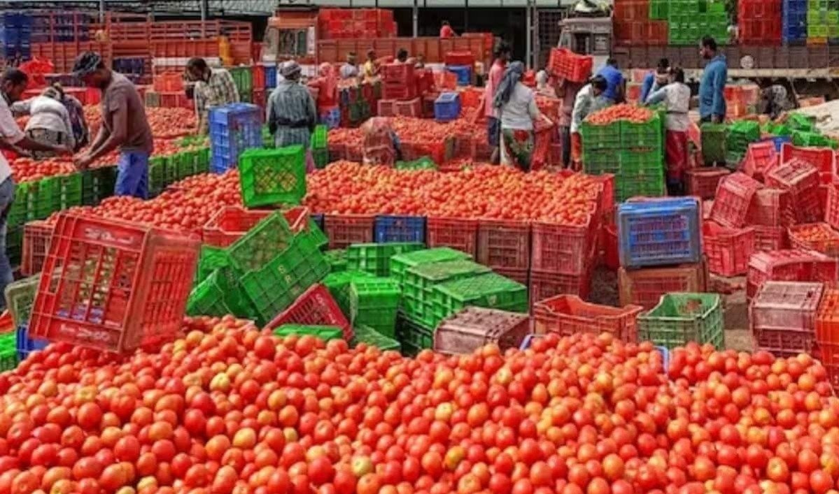 Falling tomato prices lead to increased distress (Image Source: Social Media)