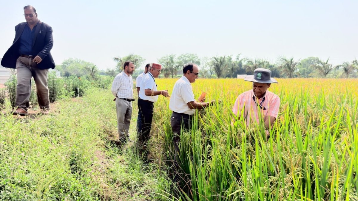 Rural Development in Dhamtari(Image Source: CGDPR)