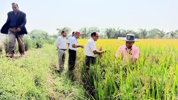 Rural Developmen: वीबी-जी राम जी योजना से बदल रही गांवों की तस्वीर, श्रमिकों को मिल रहा रोजगार