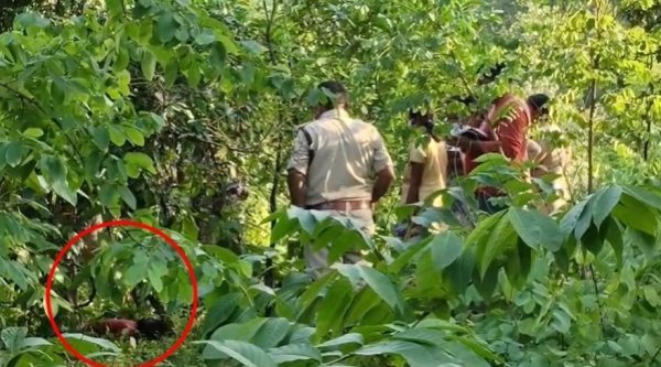 Missing Girl Case: 7 साल की बच्ची का झाड़ियों में मिला शव, हत्या की आशंका से मचा हड़कंप