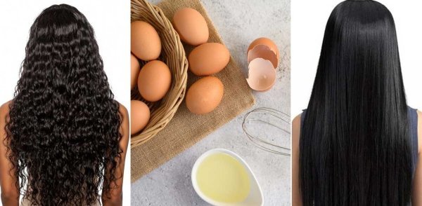 Benefits of Eggs: बालों की ग्रोथ के लिए अंडा खाना बेहतर या लगाना? जानें सही तरीका