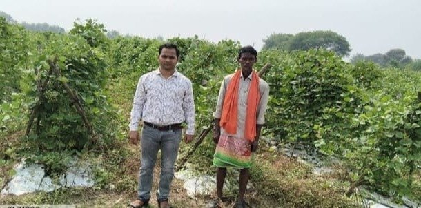 Farmers adopting seed production in Dhabadih(Image Source: CGDPR)