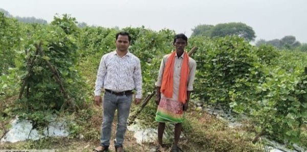 Chhattisgarh Agriculture: किसानों की बदली किस्मत, बीज उत्पादन से 75% बढ़ी आय