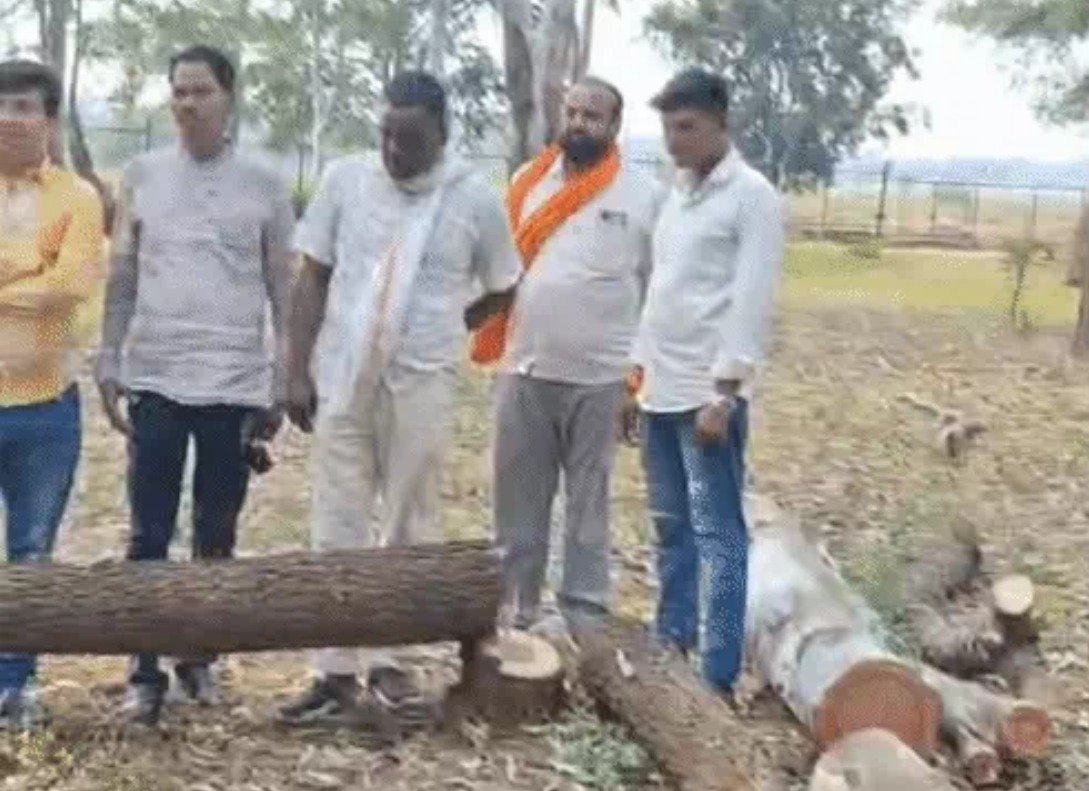 Tree cutting dispute in Mana Tuta(Image Source: Social Media)