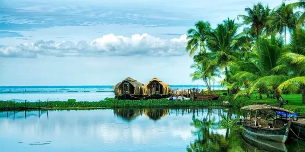 Wayanad Tourist Places: पहाड़, झरने और हरियाली… वायनाड की ये 5 जगहों जो आपकी ट्रिप को बना देंगी यादगार