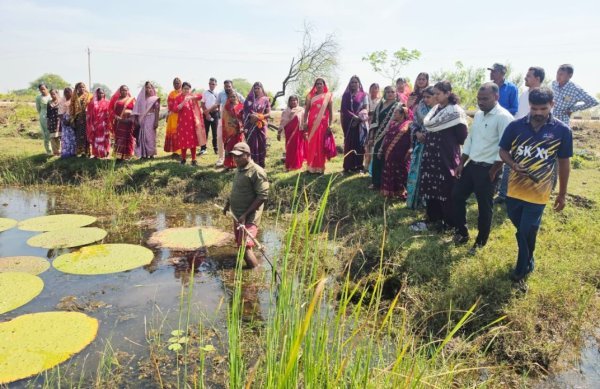 Women Empowerment: 29 एकड़ में मखाना उत्पादन शुरू, महिला समूहों को मिलेगा रोजगार का अवसर