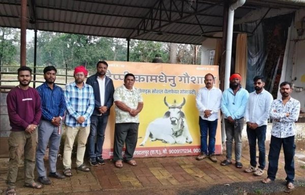 Bastar News: कोटपाड़ में बड़ी कार्रवाई 27 गायें बचाई गईं, 9 क्विंटल गौमांस मिला