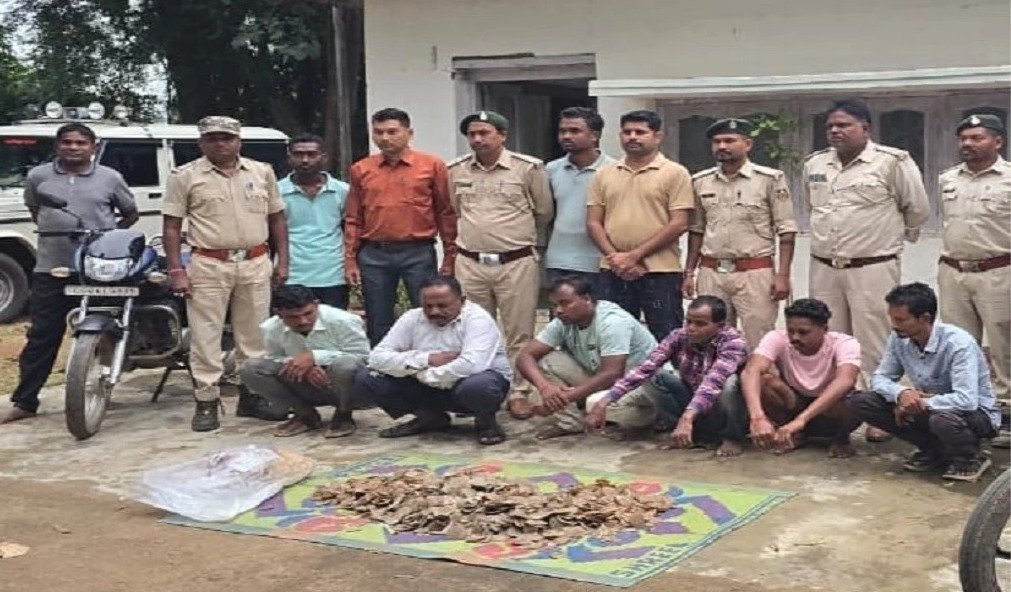 14 kg of pangolin scales seized six accused arrested(Image Source: Social Media)