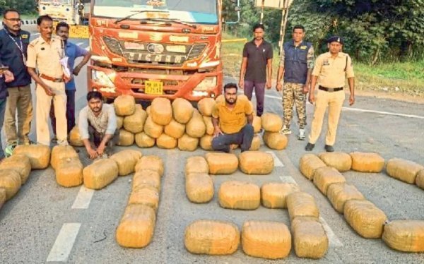 Mahasamund News: 9 महीने में 50 करोड़ का गांजा जब्त, 501 तस्कर गिरफ्तार