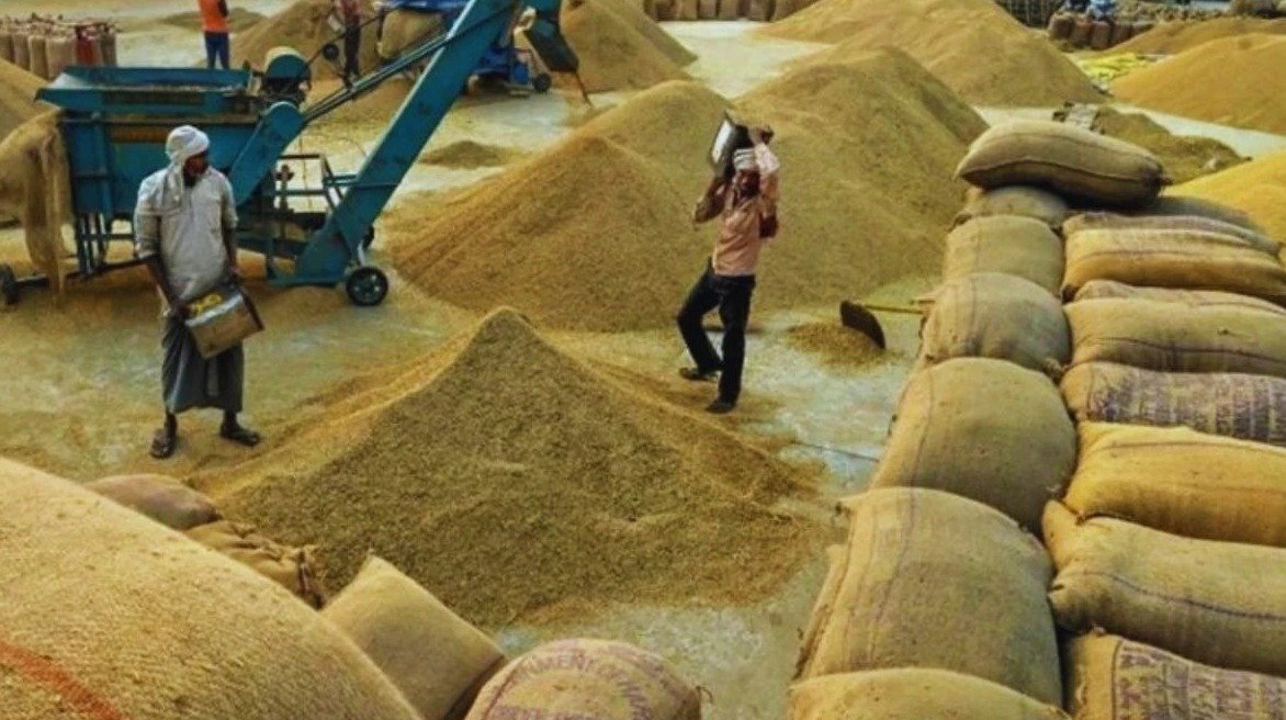 Chhattisgarh Paddy Procurement 2026-27(Image Source: Social Media)