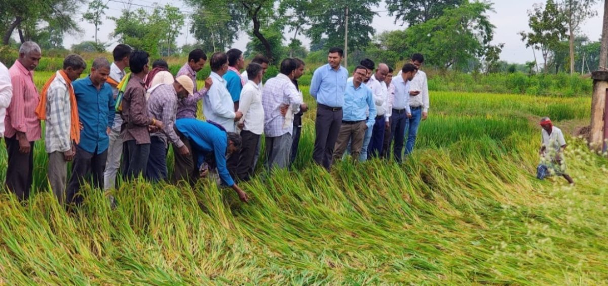 Crop Damage Survey in Bemetara After Arnab Cyclone(Image Source: CGDPR)